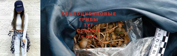 метадон Медногорск