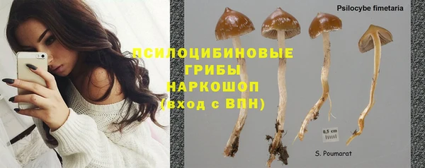 СК Медвежьегорск