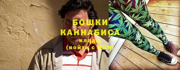СК Медвежьегорск