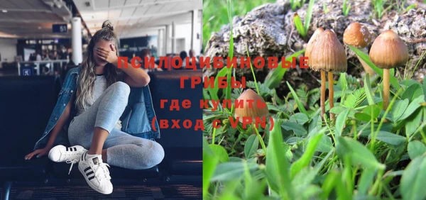 СК Мегион