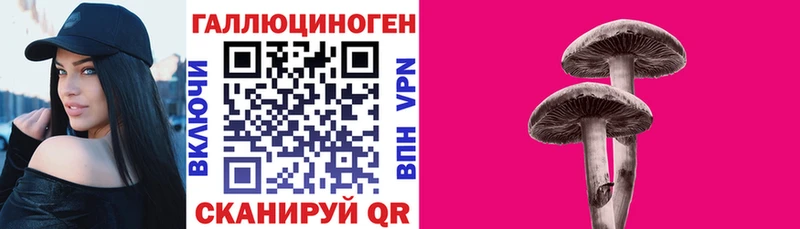 hydra tor  Шимановск  Псилоцибиновые грибы мухоморы  наркота 